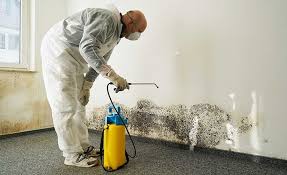 Best Industrial Mold Remediation  in USA